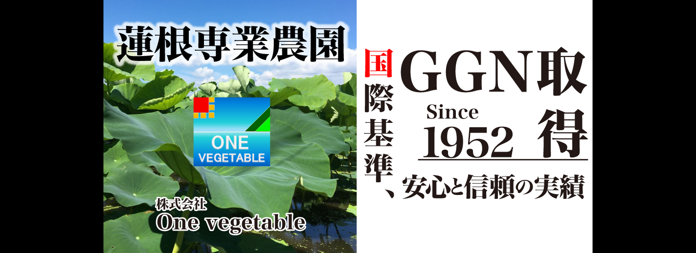 Since1952 安心と信頼の実績 国際基準、GAP認証 GNN取得