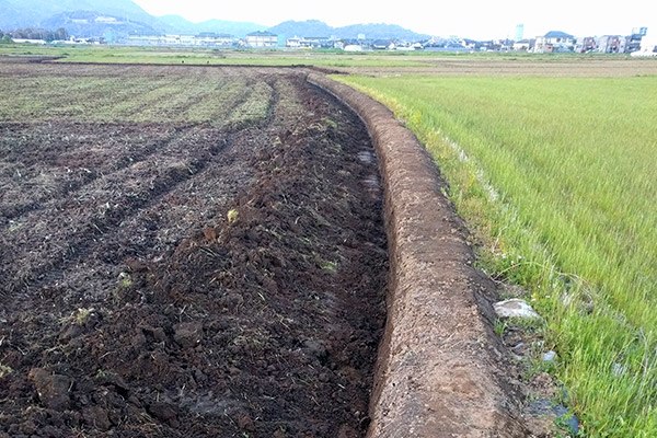 栽培のこだわり2 株式会社ワンベジタブル